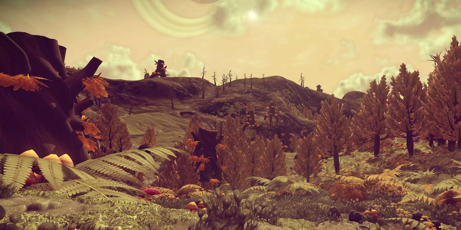 The Best Mods For No Man's Sky 4 Looking over a diverse planet surface in No Man's Sky.