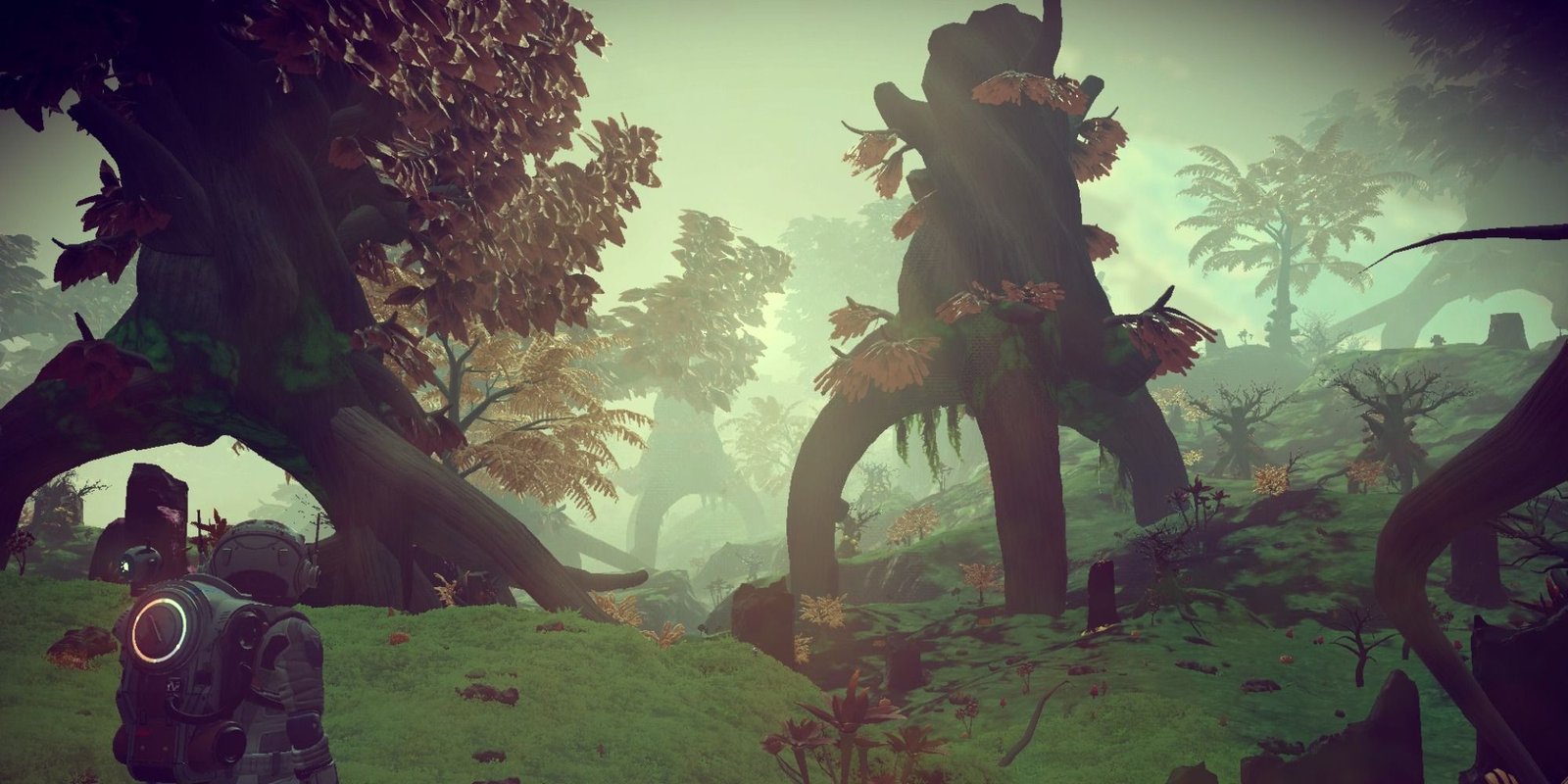 The Best Mods For No Man's Sky 12 Better Planet Generation mod biome of trees.
