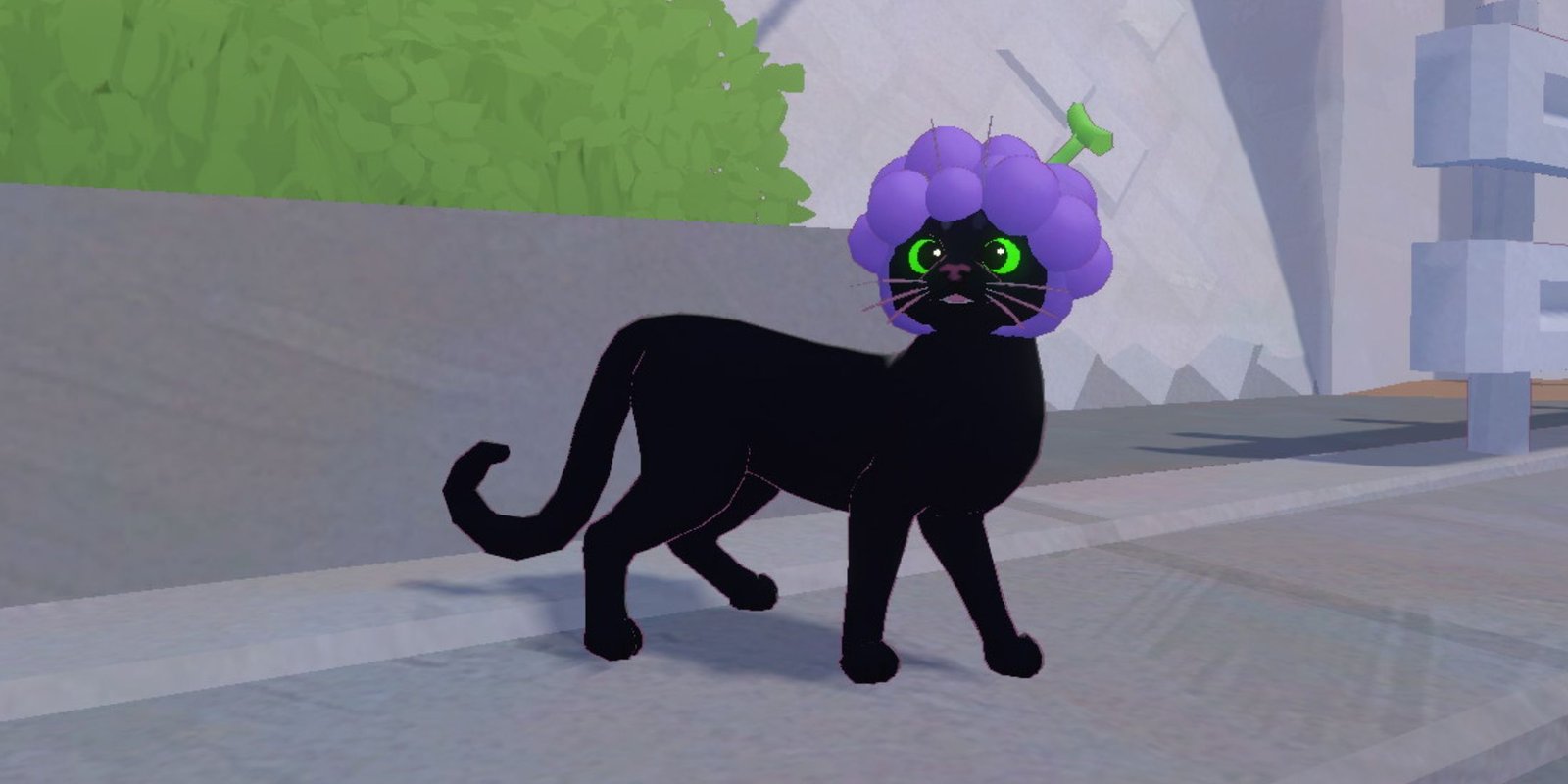 Little Kitty, Big City's kitty wearing a grape hat. 