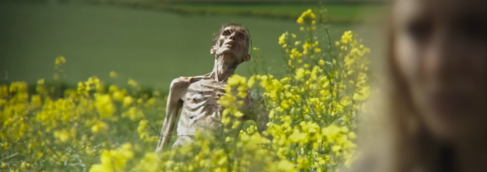 28 Years Later Is Once Again Asking Very Big Questions About Zombies 4 Cillian Murphy as a zombie in 28 Years Later