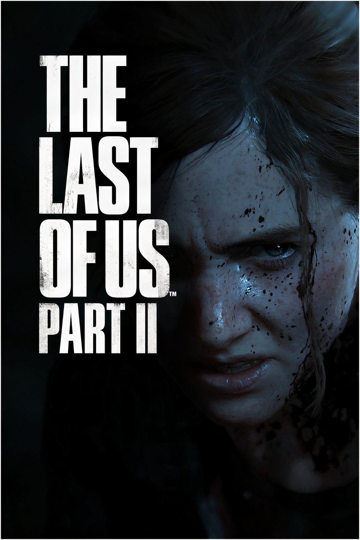Kaitlyn Dever Won't Be Buff As Abby In The Last Of Us, But She Should Be 3 mixcollage-24-dec-2024-11-31-am-2993.jpg