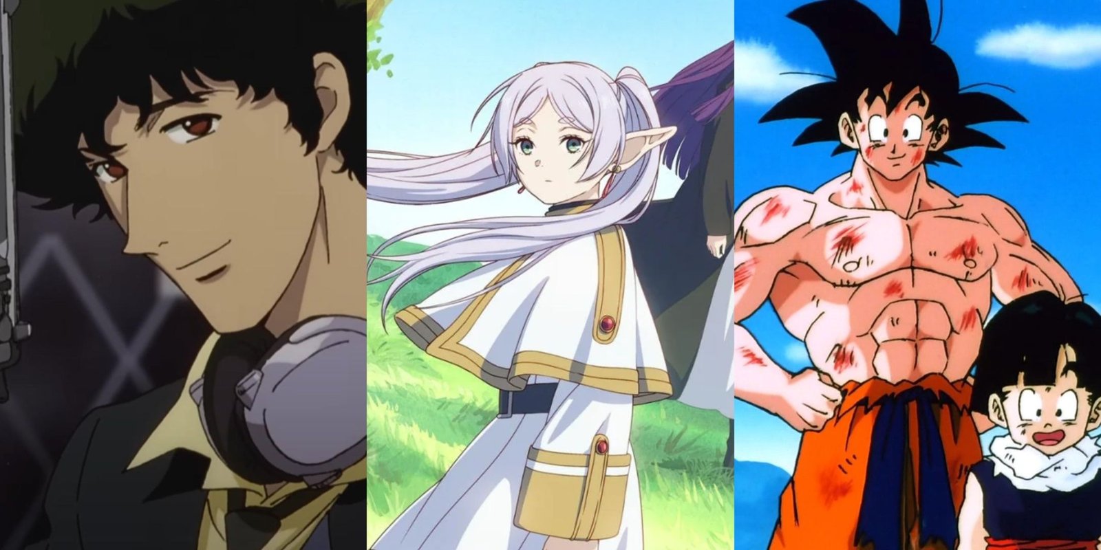 Anime Characters With The Same Voice Actor 14 Spike Spiegel, Frieren and Goku stills from their shows and posters