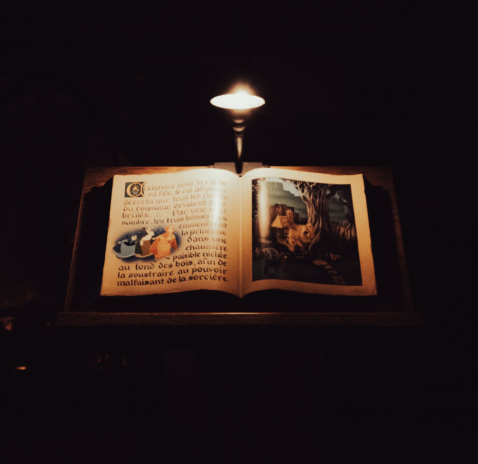 Sam Hallahan Photo Book Under A Light