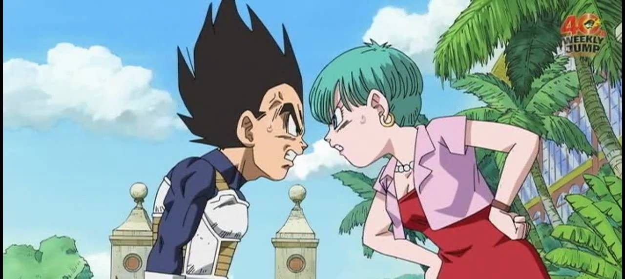 Bulma-and-Vegeta-e1548177856363