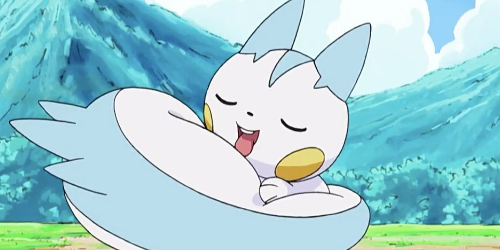 Pachirisu curled up licking its tail in the Pokemon anime.