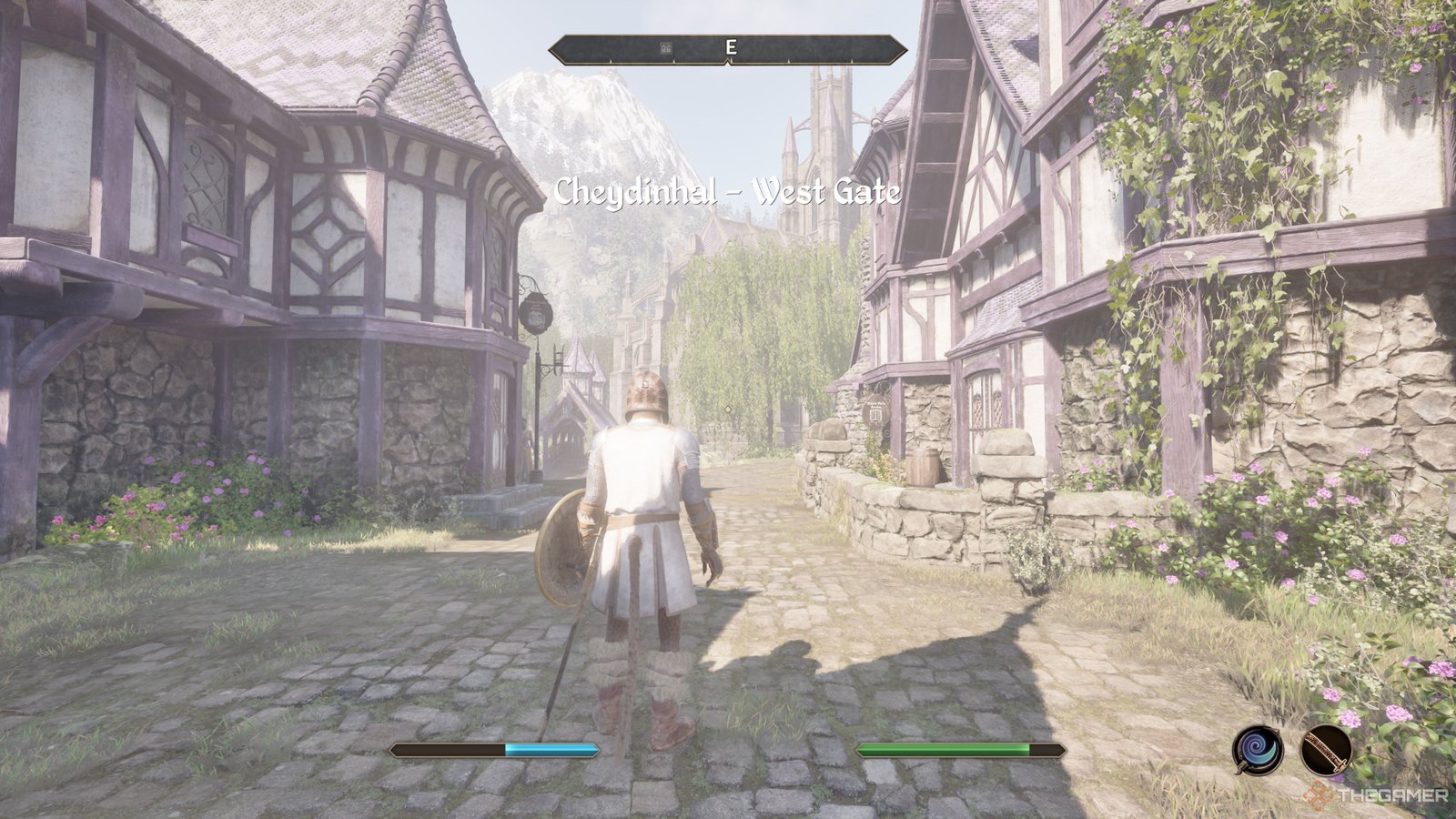 Oblivion Remastered Major City Order Cheydinhal