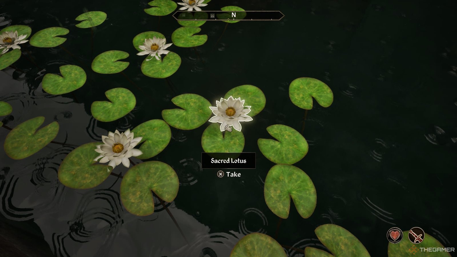 A Sacred Lotus flower in Oblivion Remastered.