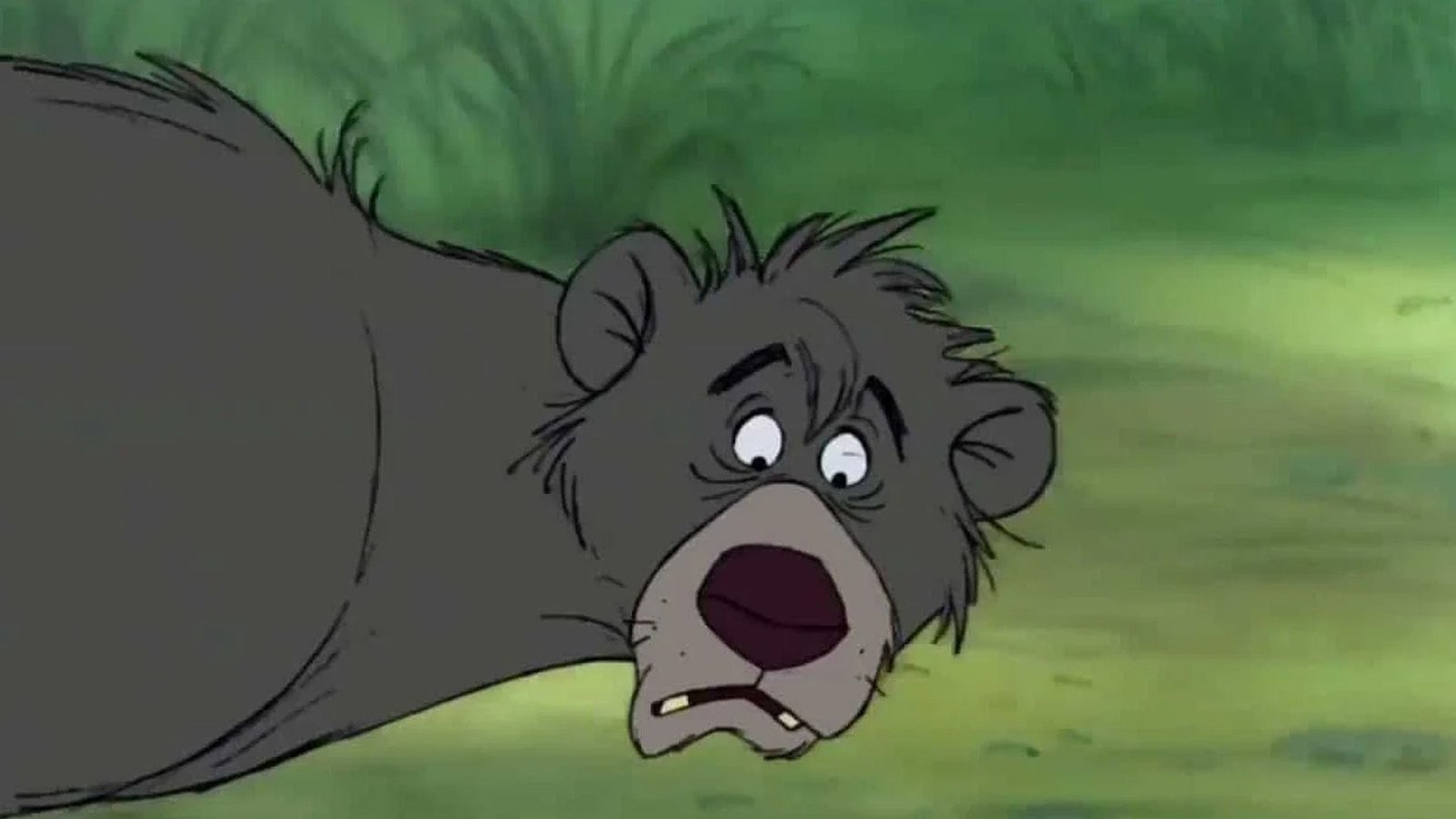 Baloo from the Jungle Book.