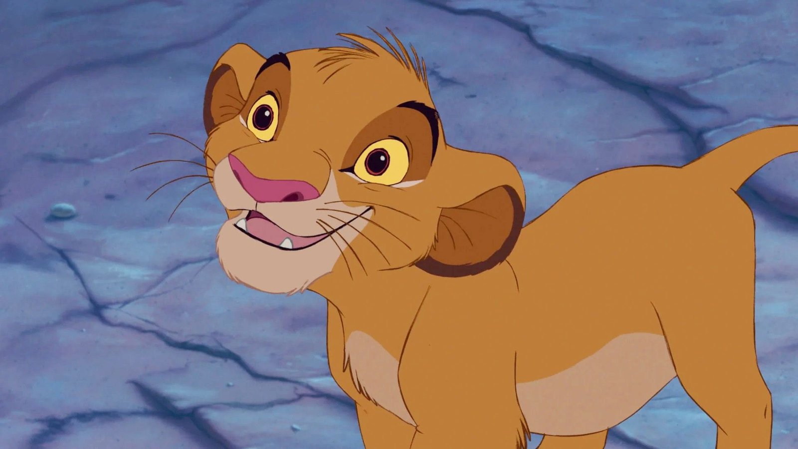 Simba from The Lion King.